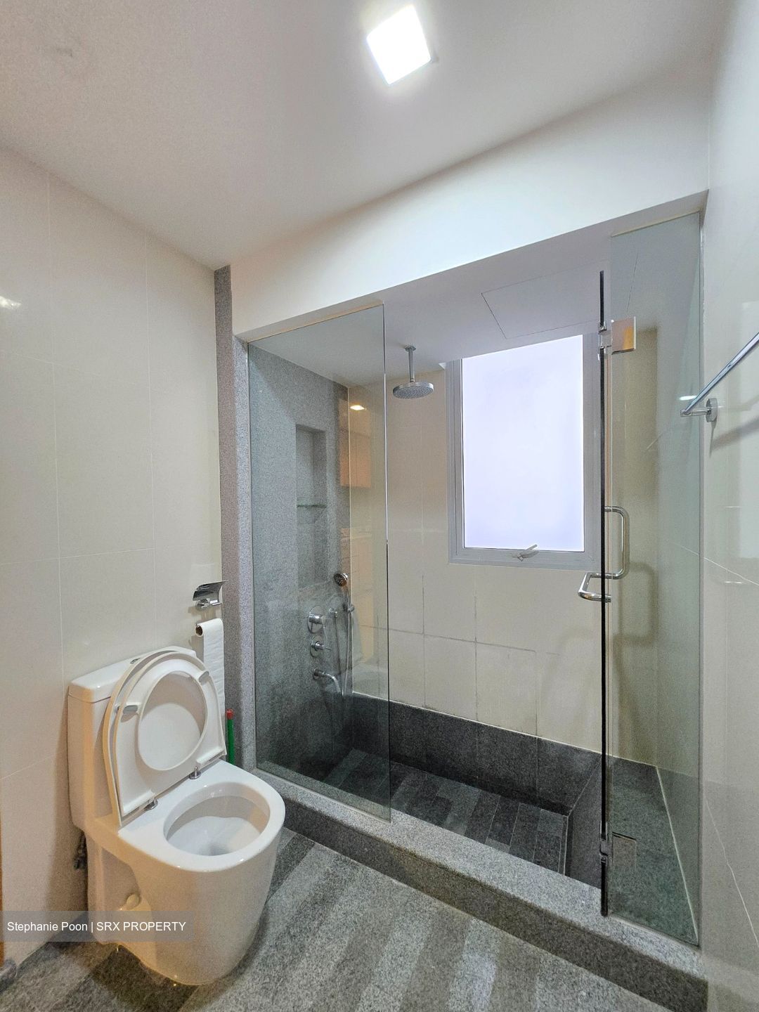 8 @ Mount Sophia (D9), Condominium #568235041